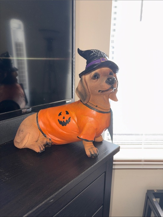 Humane world for animals Other - Festive Orange Dachshund Halloween Figurine with Witch Hat
